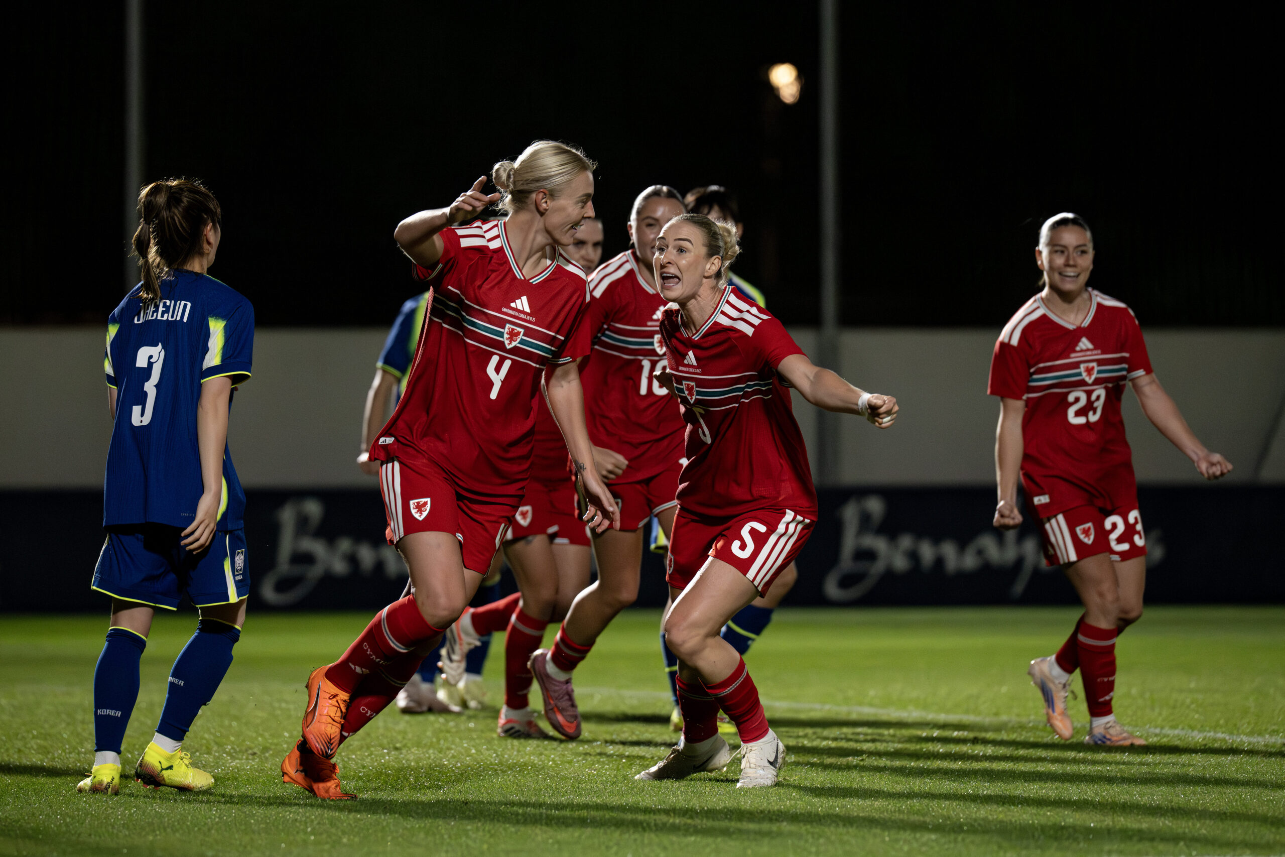 The Canopi x Gŵyl Dewi